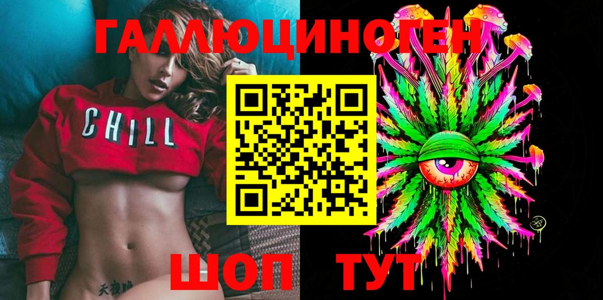 Карачаевск  Галлюциногенные грибы Psilocybine cubensis  Вход с VPN 